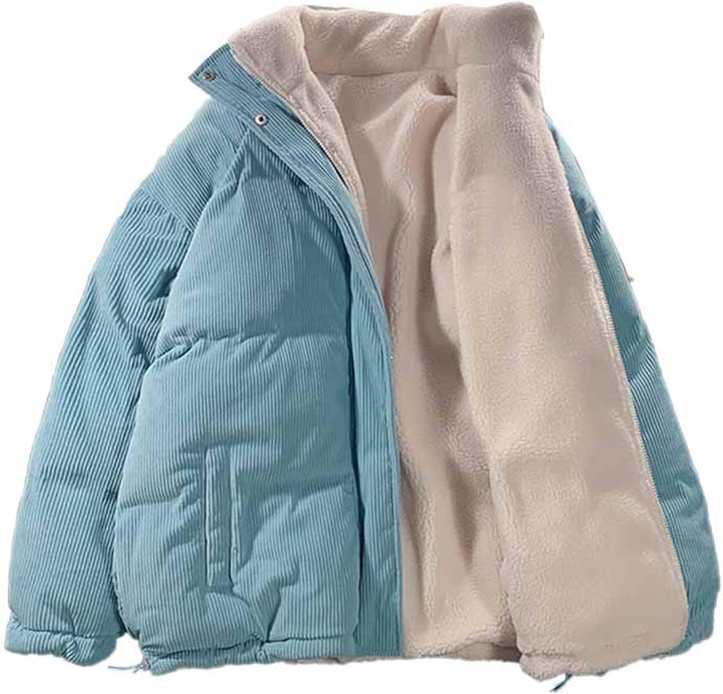 Amazon.co.jp: [HWQFM] ジャケット レディース ブルゾン 秋冬 ファー